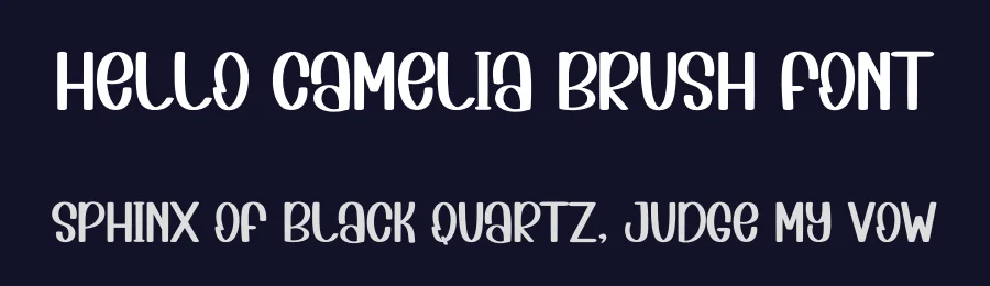 Hello Camelia Brush Font by inermediaSTUDIO — Display Font — thumbnail 2