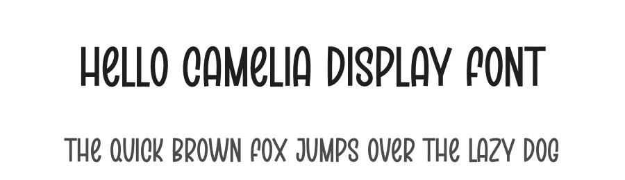 Hello Camelia Display Font by creativeletter — Display Font