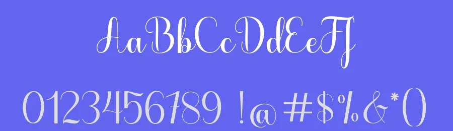 Hello Night Script Font by Black Studio — Script Handwritten Font — thumbnail 3