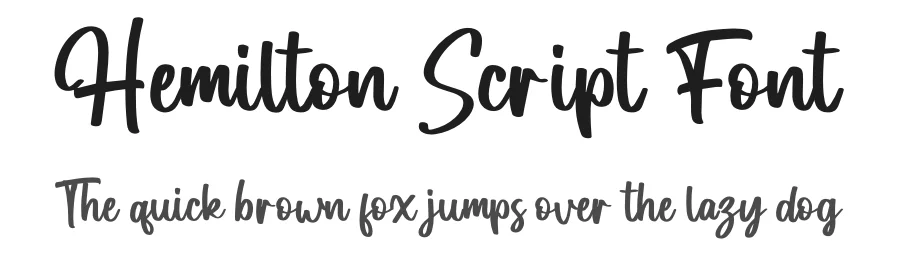 Hemilton Script Font by letterenastudios — Script Handwritten Font