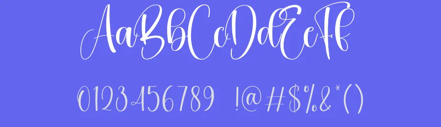 Hey Daisy Style Script Font by creativeletter — Script Handwritten Font — thumbnail 3