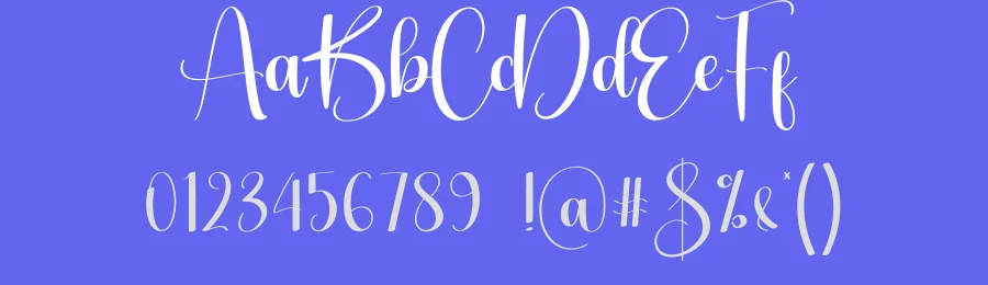 Hey Sunflower Script Font by creativeletter — Script Handwritten Font — thumbnail 3