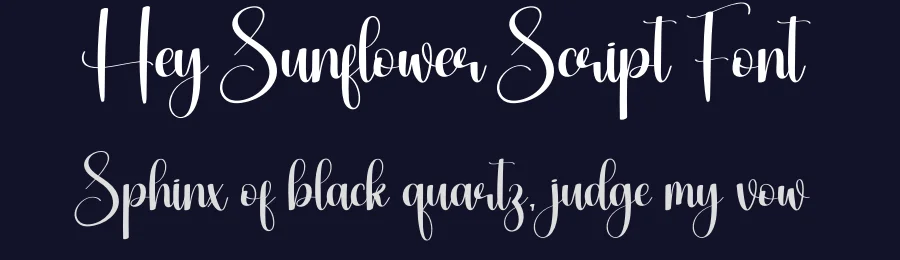Hey Sunflower Script Font by creativeletter — Script Handwritten Font — thumbnail 2