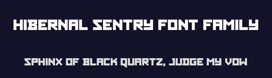 Hibernal Sentry Font Family by Iconian Fonts — Display Font — thumbnail 2