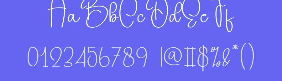 Hibiscus – Casual Handwritten Font by andikastudio — Script Handwritten Font — thumbnail 3
