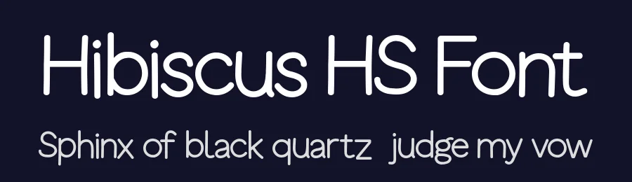 Hibiscus HS Font by Hannabie Creative — Decorative Font — thumbnail 2