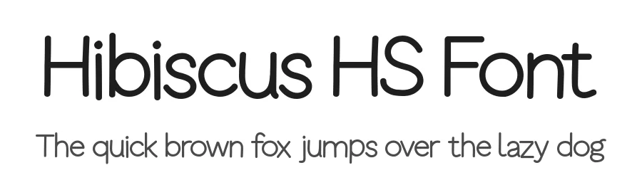 Hibiscus HS Font by Hannabie Creative — Decorative Font