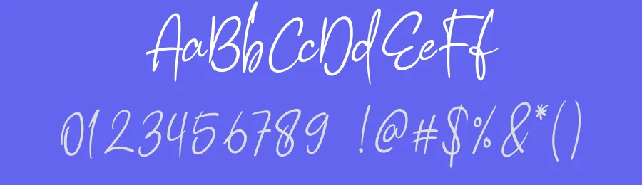 Hibiscus Signature Font by andikastudio — Script Handwritten Font — thumbnail 3