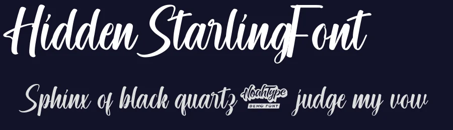 Hidden Starling Font by noahtype — Script Handwritten Font — thumbnail 2