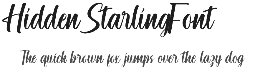 Hidden Starling Font by noahtype — Script Handwritten Font