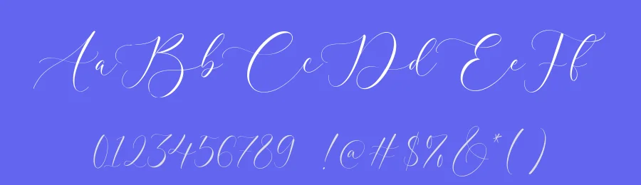 Hilberta Austine Font by Timur type — Decorative Font — thumbnail 3