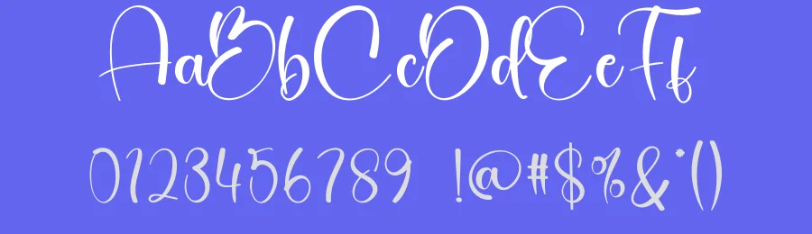 Hippie Signature Script Font by creativeletter — Script Handwritten Font — thumbnail 3