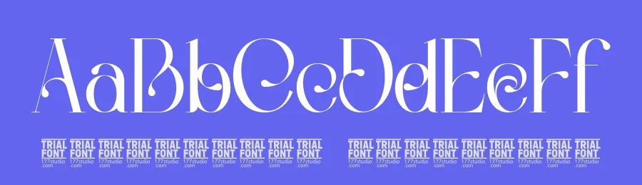 Historical Aesthetic – Calligraphic Serif Font by 177Studio — Script Handwritten Font — thumbnail 3