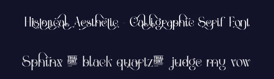 Historical Aesthetic – Calligraphic Serif Font by 177Studio — Script Handwritten Font — thumbnail 2