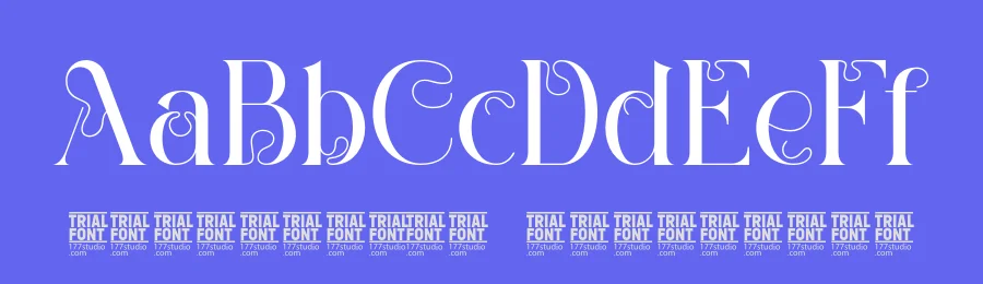 Historical Collective Font by 177Studio — Script Handwritten Font — thumbnail 3