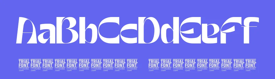 Historical Conditions – Luxury Sans Font by 177Studio — Display Font — thumbnail 3