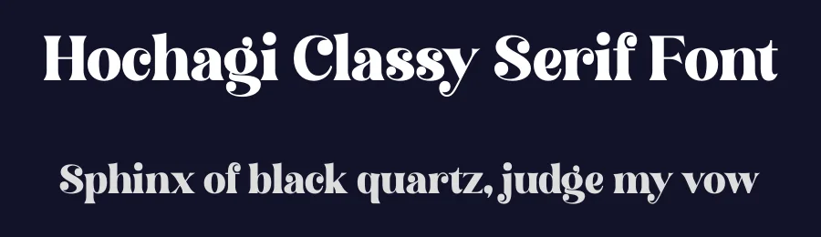 Hochagi Classy Serif Font by Storytype — Serif Font — thumbnail 2