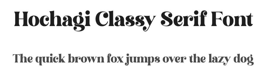Hochagi Classy Serif Font by Storytype — Serif Font