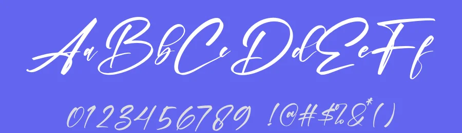 Holdiger Font by letternity — Script Handwritten Font — thumbnail 3