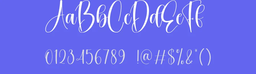 Holding Script Font by creativeletter — Script Handwritten Font — thumbnail 3