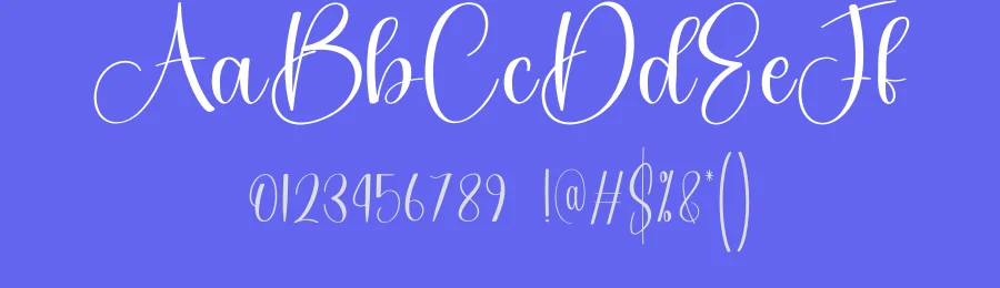 Holiday – Authentic Handwritten Style Font by creativeletter — Script Handwritten Font — thumbnail 3
