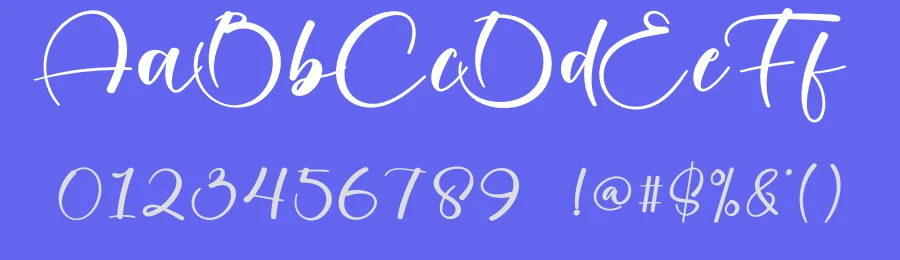 Holiday Calligraphy Script Font by creativeletter — Script Handwritten Font — thumbnail 3