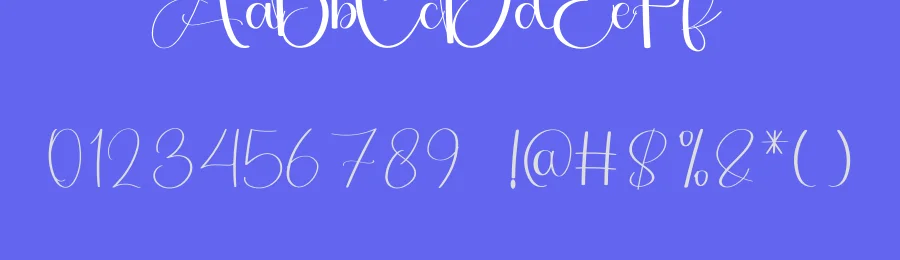 Holiday Saturday Handwritten Font by inermediaSTUDIO — Script Handwritten Font — thumbnail 3