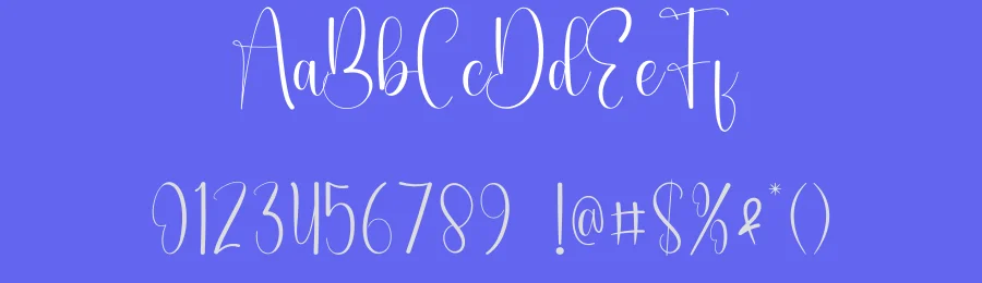Holiday Sensation Script Font by andikastudio — Script Handwritten Font — thumbnail 3