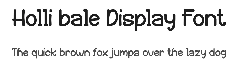 Holli bale Display Font by Maiko Hatta — Display Font