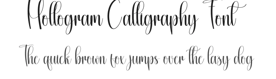 Hollogram Calligraphy Font by creativeletter — Script Handwritten Font