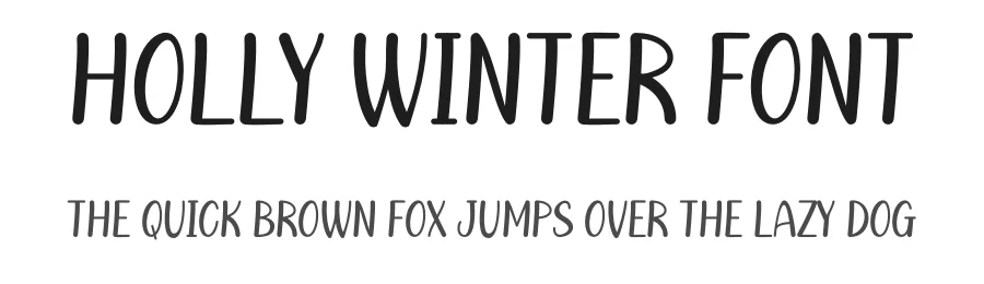 Holly Winter Font by Maiko Hatta — Display Font