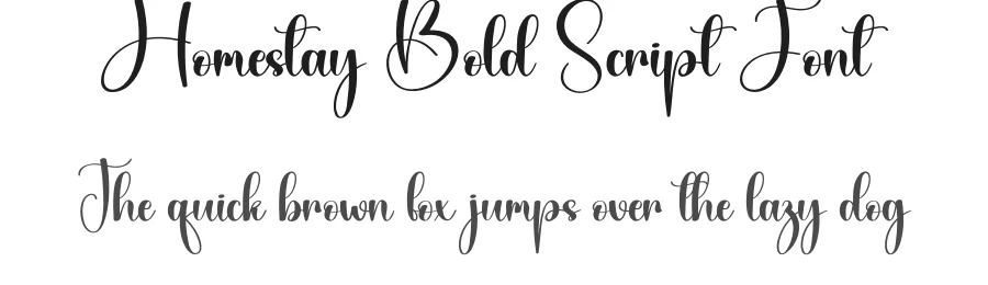 Homestay Bold Script Font by creativeletter — Script Handwritten Font