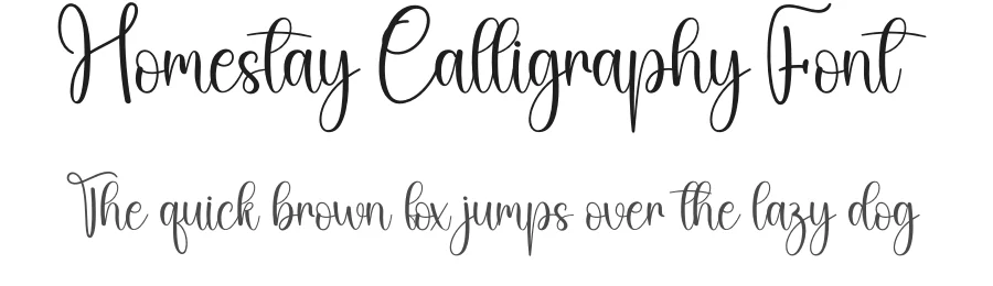 Homestay Calligraphy Font by creativeletter — Script Handwritten Font