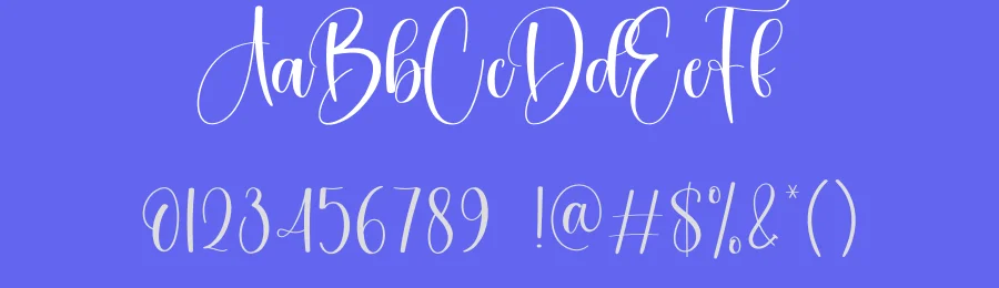 Homestay Calligraphy Font by creativeletter — Script Handwritten Font — thumbnail 3