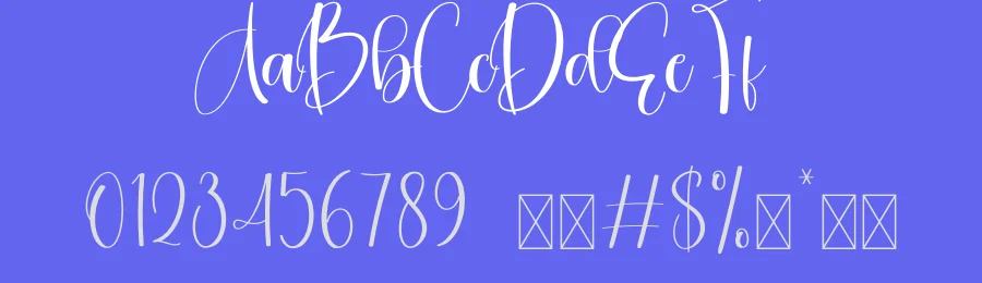 Homestay Calligraphy Script Font by creativeletter — Script Handwritten Font — thumbnail 3