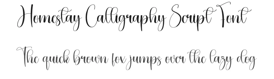 Homestay Calligraphy Script Font by creativeletter — Script Handwritten Font