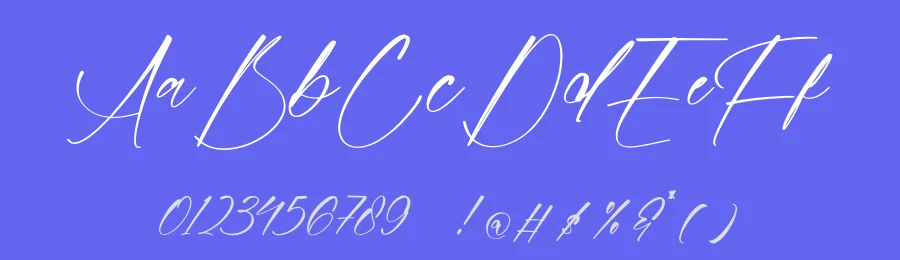Homestay Nighter Font by stylishtype.co — Script Handwritten Font — thumbnail 3