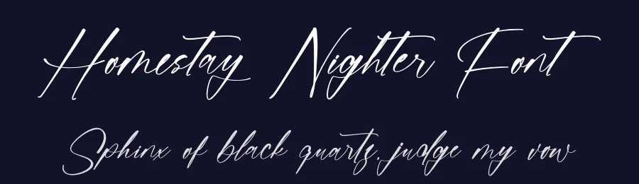 Homestay Nighter Font by stylishtype.co — Script Handwritten Font — thumbnail 2