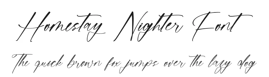 Homestay Nighter Font by stylishtype.co — Script Handwritten Font