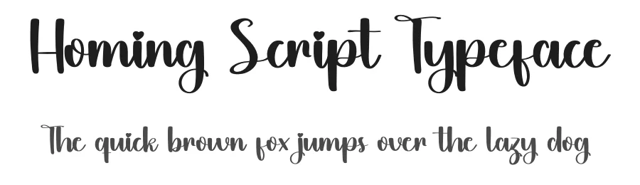 Homing Script Typeface by inermediaSTUDIO — Display Font