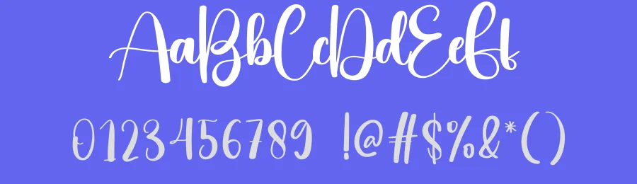 Hooked Script Font by creativeletter — Script Handwritten Font — thumbnail 3