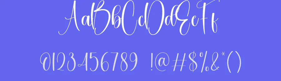 Howdy Calligraphy Font by creativeletter — Script Handwritten Font — thumbnail 3