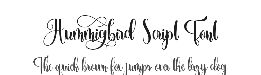 Hummingbird Script Font by FallenGraphic Studio — Script Handwritten Font