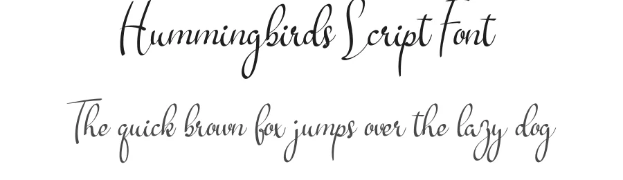 Hummingbirds Script Font by andikastudio — Script Handwritten Font