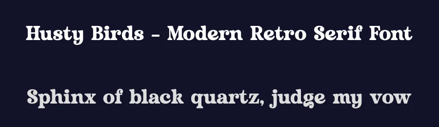 Husty Birds – Modern Retro Serif Font by timelesstype.co — Display Font — thumbnail 2