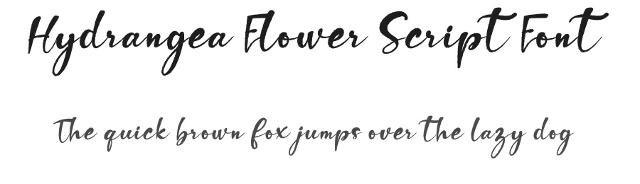 Hydrangea Flower Script Font by andikastudio — Script Handwritten Font