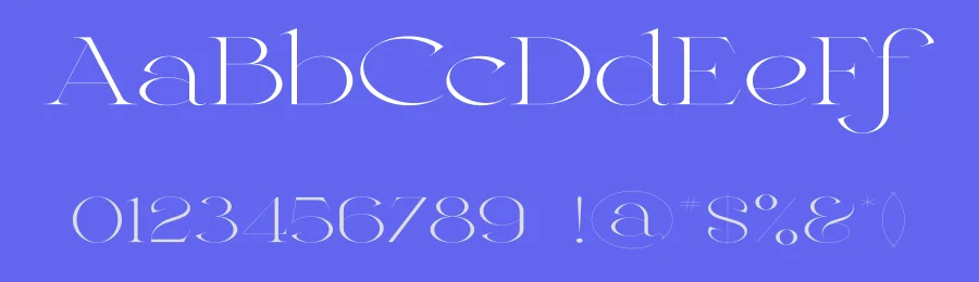 Ianthe Font by vpcreativeshop — Serif Font — thumbnail 3