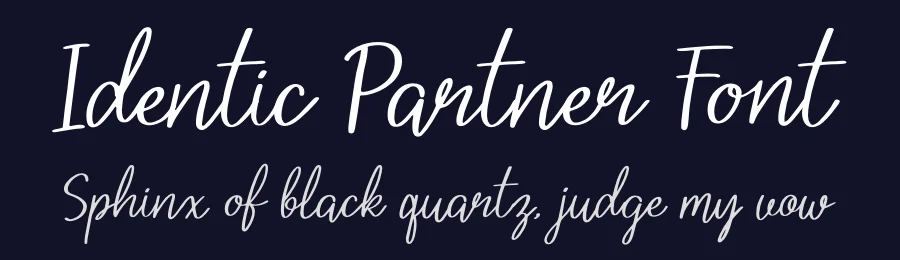 Identic Partner Font by Denustudios — Script Handwritten Font — thumbnail 2