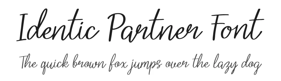 Identic Partner Font by Denustudios — Script Handwritten Font