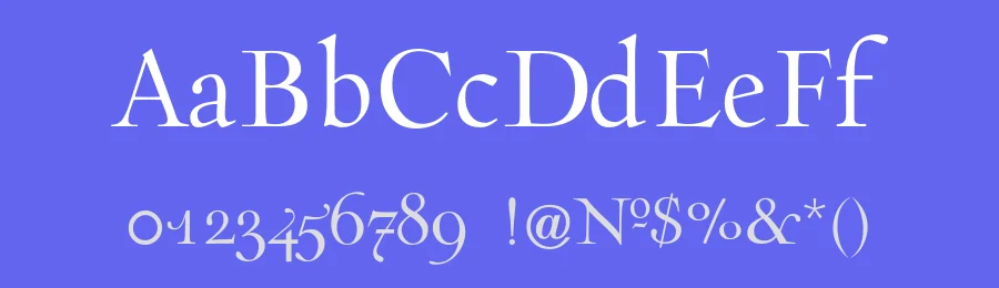 Incognito Pro Font Family by 1001fonts — Serif Font — thumbnail 3